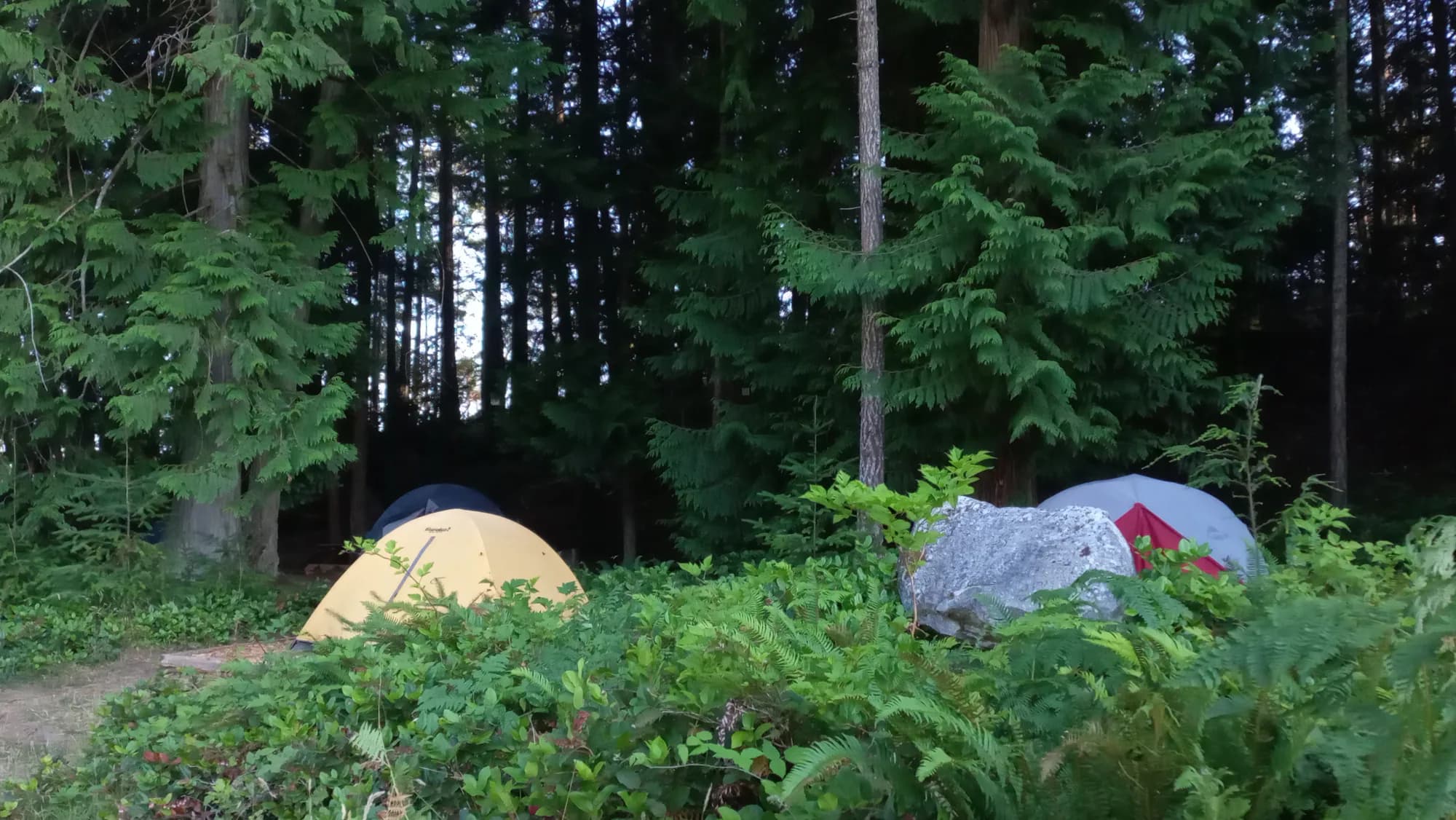 Fireside Kids Camp - Canada - Premises 7