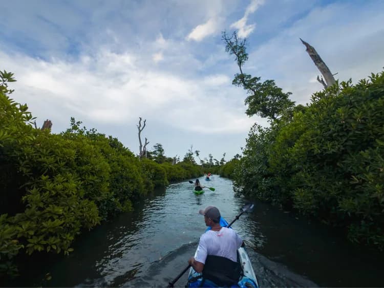 Gen-Z travels - Fiji Afternoon - Activities - Afternoon 3