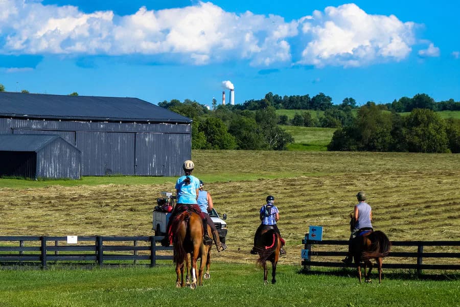 Horseback Riding Camp - Walsrode