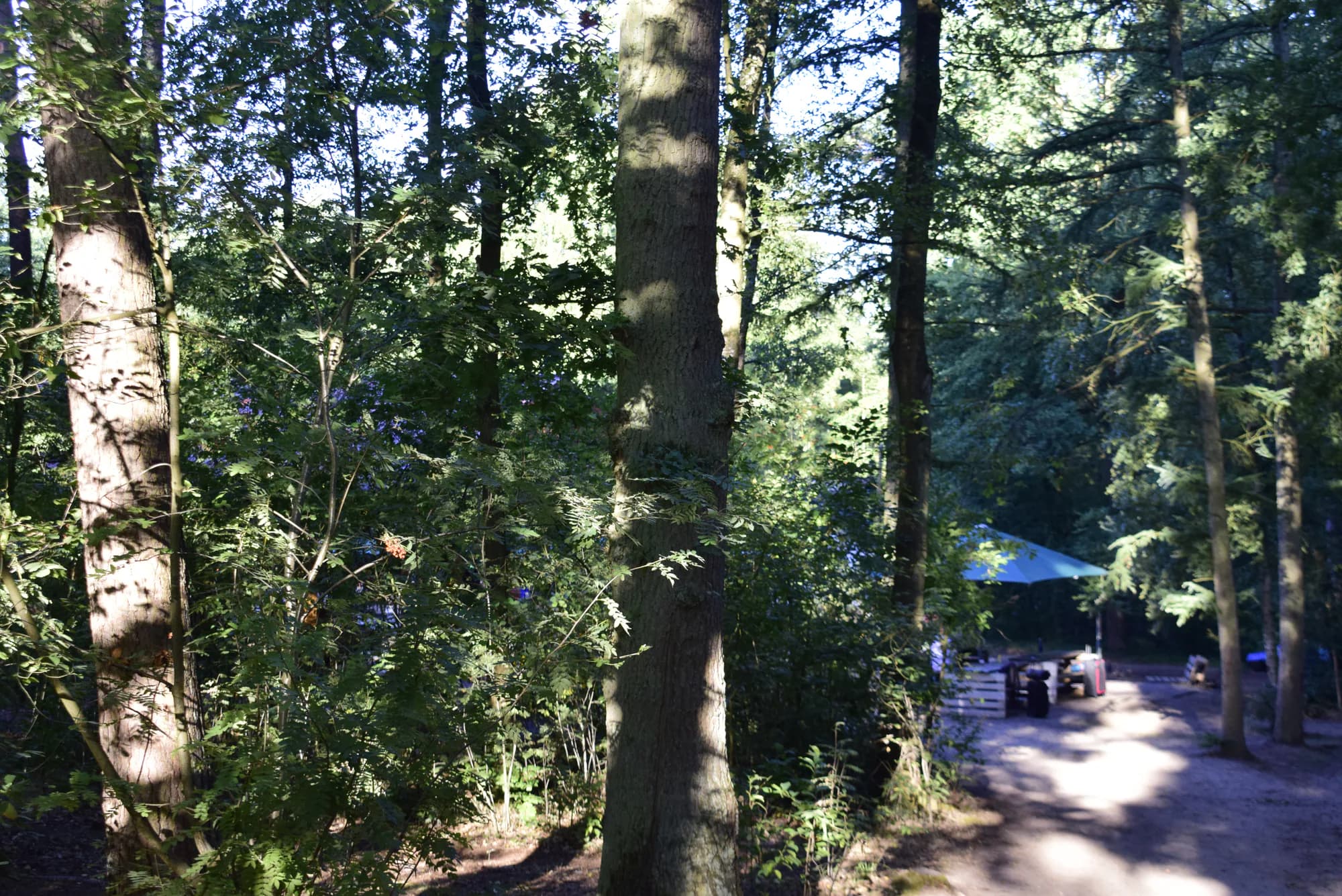 English at Camp - Walsrode - Landscapes 5