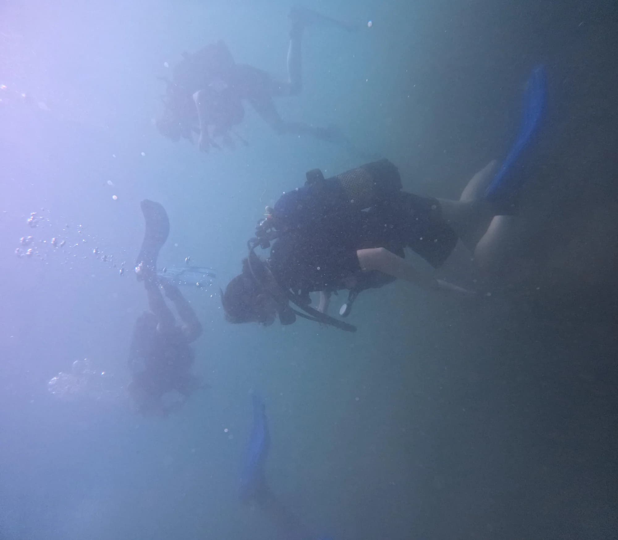 Campamento de Buceo SCUBA y Vela - Barcelona - Happy Camper 16