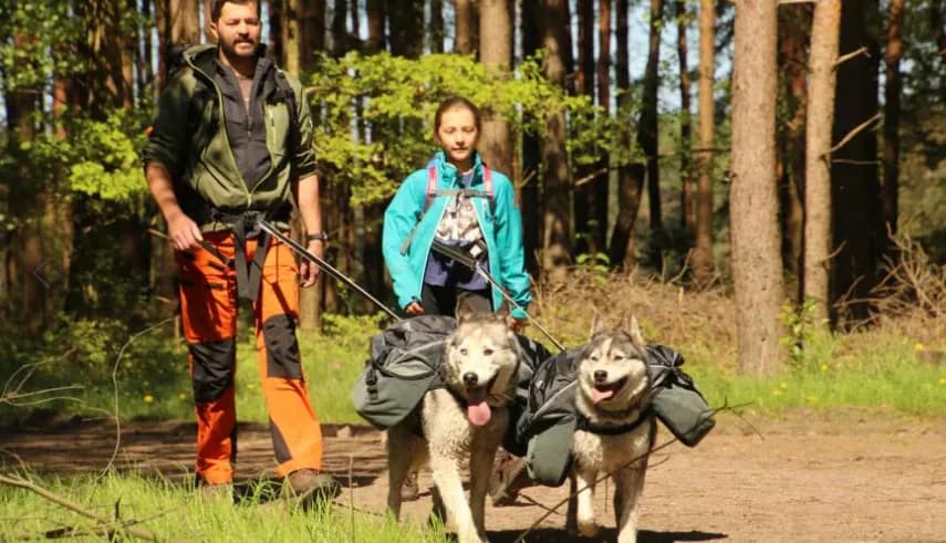 Husky Camp - Walsrode - regular 13