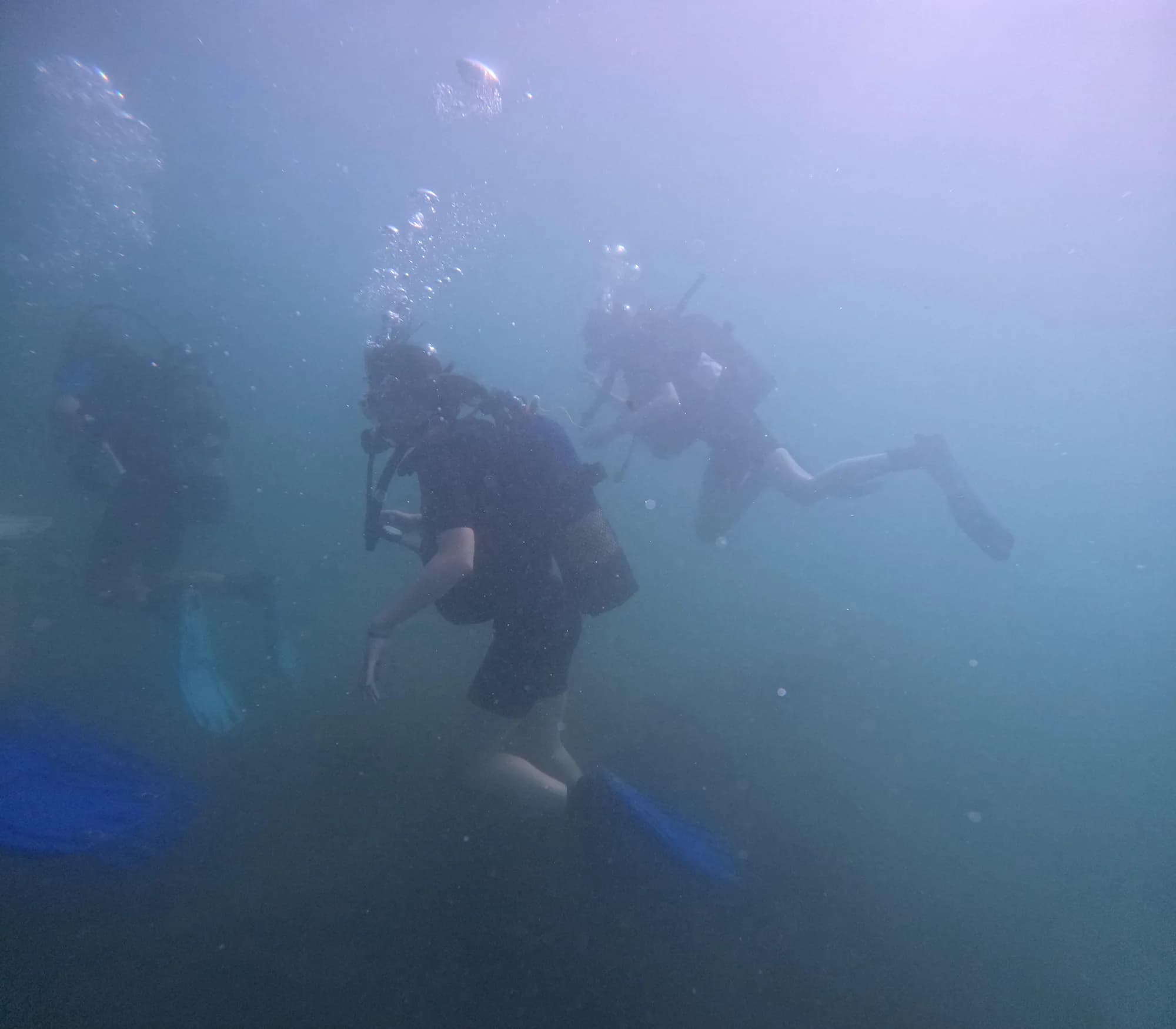 Tauch- und Segelcamp – Barcelona Morning - Activities - Morning 1