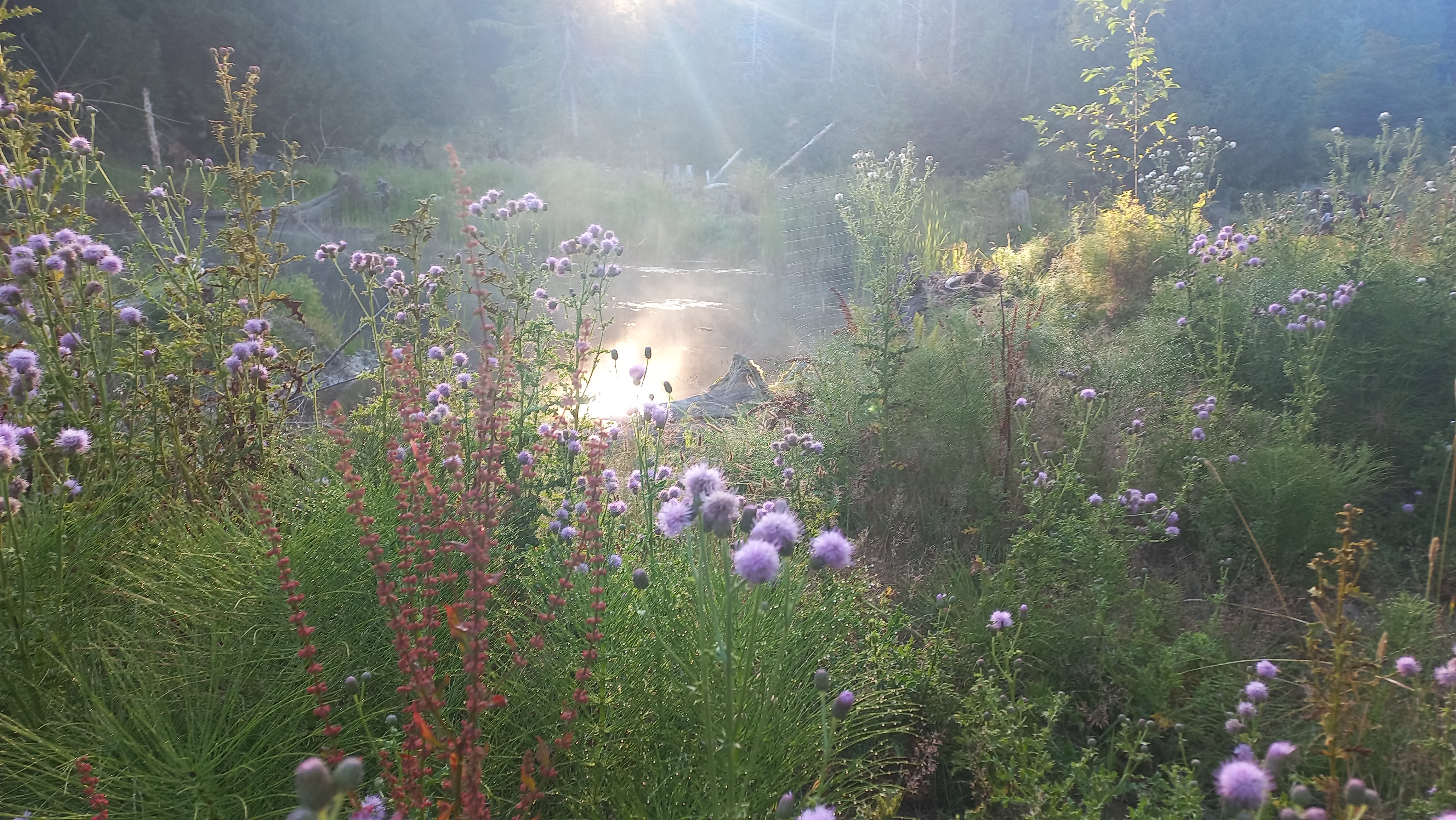 Yukon Explorer – Kanada Morning - Activities - Morning 3