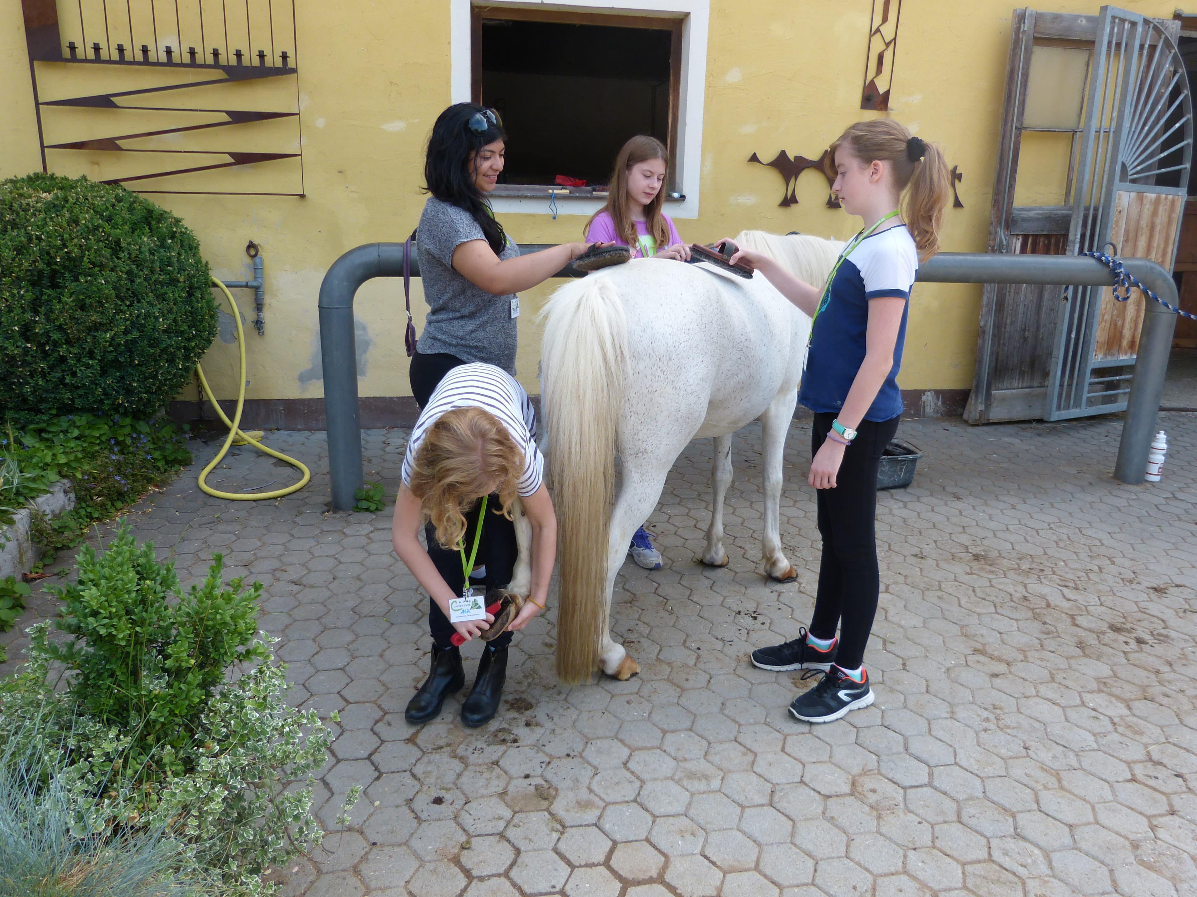 Horseback Riding Camp - Walsrode - regular 9