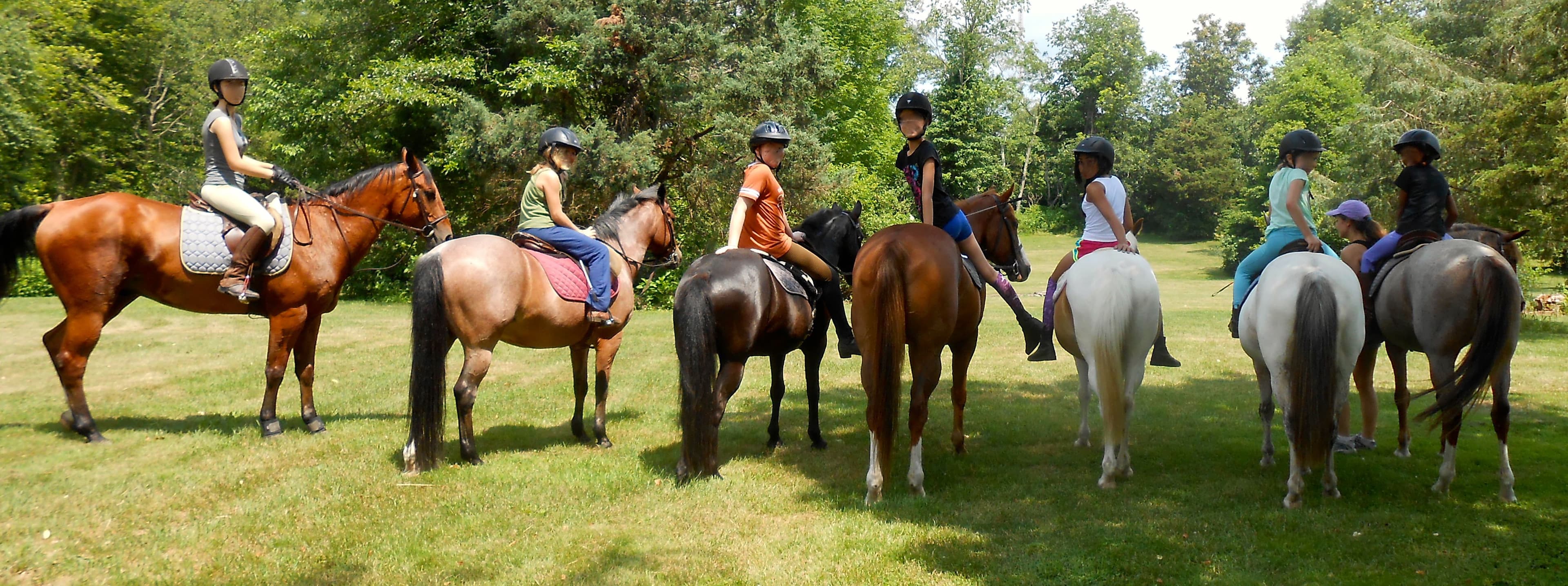 Horseback Riding Camp - Walsrode - regular 3
