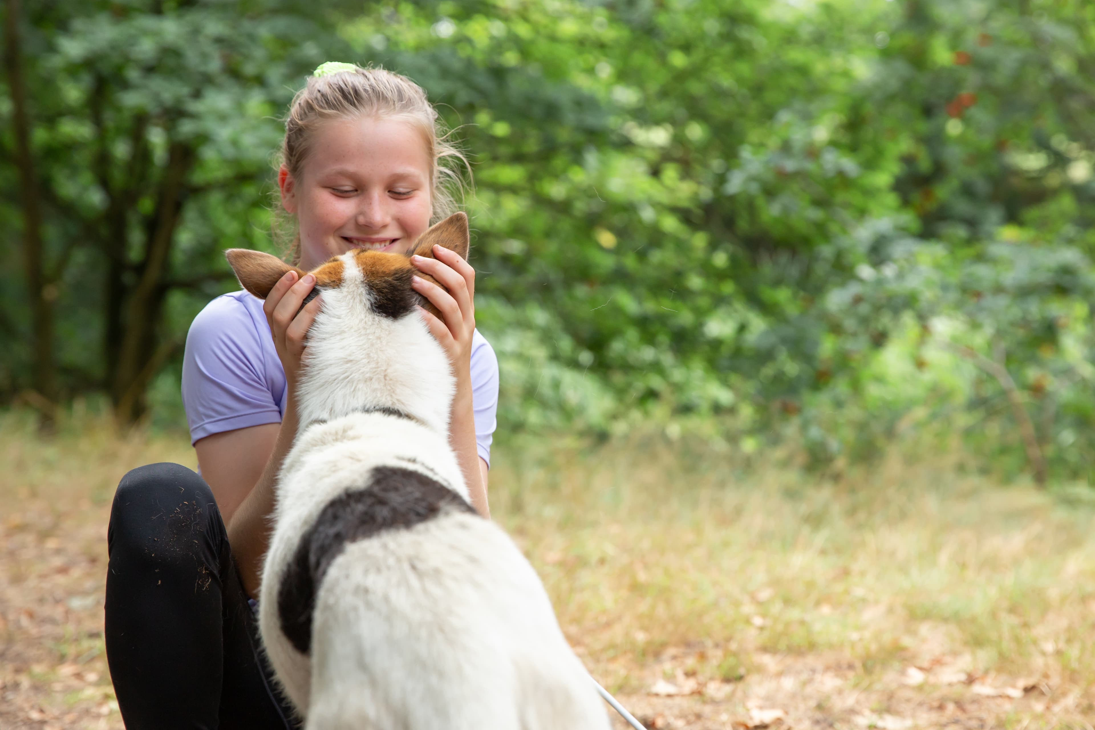 Husky Camp - Walsrode