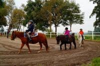 Horseback Riding Camp - Walsrode - regular 16