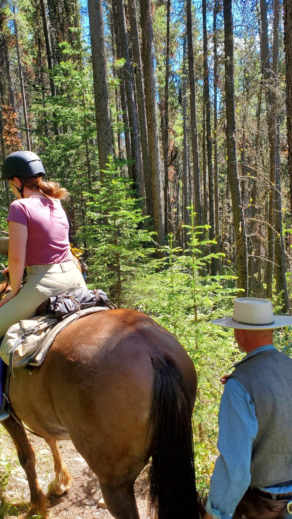 Horseback Riding Camp - Walsrode - regular 5