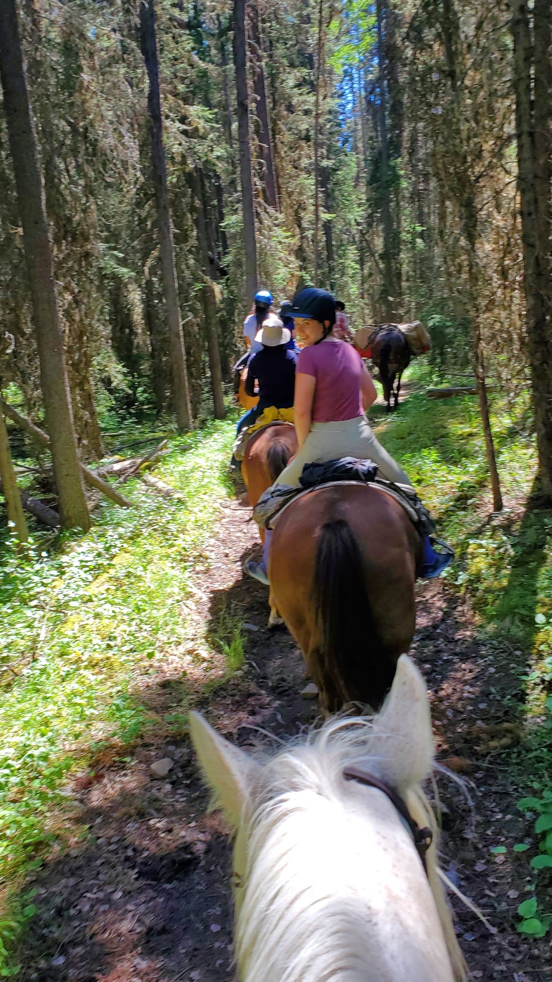 Horseback Riding Camp - Walsrode - regular 2