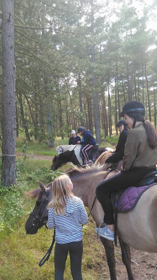 Horseback Riding Camp - Walsrode - regular 15