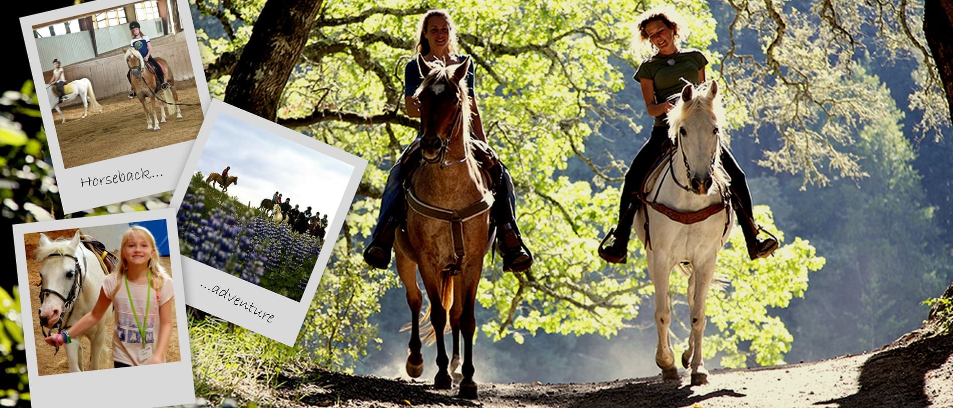 Horseback Riding Camp - Walsrode - regular 11
