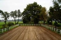 Horseback Riding Camp - Walsrode - regular 17
