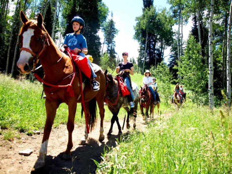 Horseback Riding Camp - Walsrode - regular 20