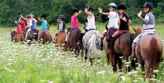 Horseback Riding Camp - Walsrode - regular 19